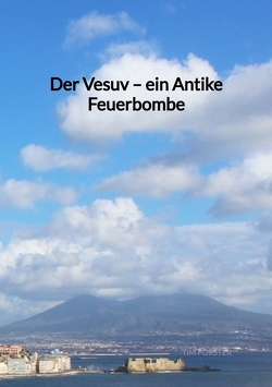 Der Vesuv – ein Antike Feuerbombe von Förster,  Tim