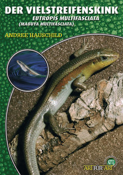 Der Vielstreifenskink von Andree,  Hauschild