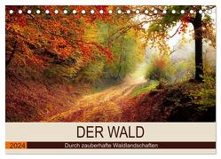 Der Wald. Durch zauberhafte Waldlandschaften (Tischkalender 2024 DIN A5 quer), CALVENDO Monatskalender von Hurley,  Rose