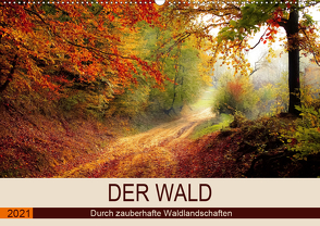 Der Wald. Durch zauberhafte Waldlandschaften (Wandkalender 2021 DIN A2 quer) von Hurley,  Rose