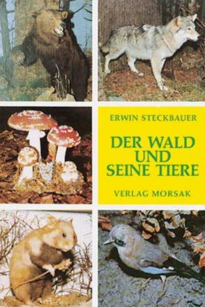 Der Wald und seine Tiere von Steckbauer,  Erwin