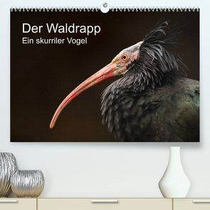 Der Waldrapp – Ein skurriler Vogel (Premium, hochwertiger DIN A2 Wandkalender 2023, Kunstdruck in Hochglanz) von the Snow Leopard,  Cloudtail