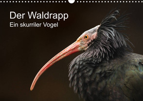 Der Waldrapp – Ein skurriler Vogel (Wandkalender 2023 DIN A3 quer) von the Snow Leopard,  Cloudtail