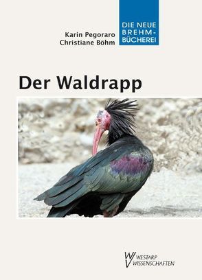 Der Waldrapp von Böhm,  Christiane, Pegoraro,  Karin