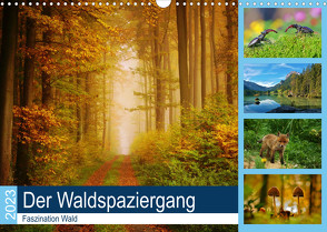 Der Waldspaziergang (Wandkalender 2023 DIN A3 quer) von Klapp,  Lutz