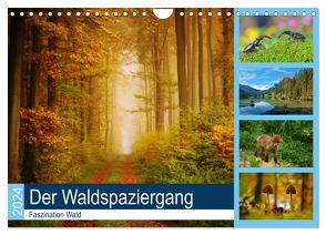 Der Waldspaziergang (Wandkalender 2024 DIN A4 quer), CALVENDO Monatskalender von Klapp,  Lutz