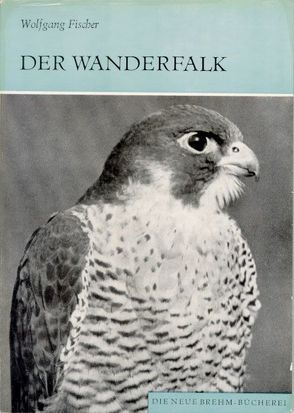 Der Wanderfalk von Fischer,  Wolfgang