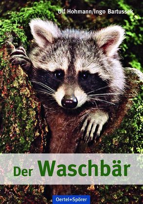 Der Waschbär von Bartussek,  Ingo, Hohmann,  Ulf