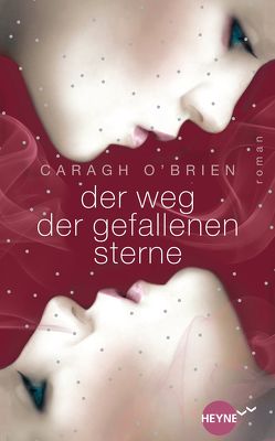 Der Weg der gefallenen Sterne von O'Brien,  Caragh, Plaschka,  Oliver