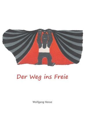 Der Weg ins Freie von Hesse,  Wolfgang