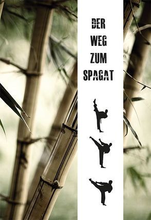 Der Weg zum Spagat von Mayer,  Artjom