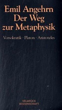 Der Weg zur Metaphysik – Studienausgabe von Angehrn,  Emil