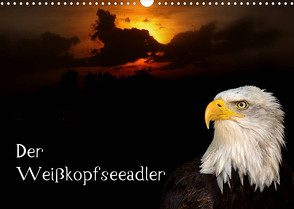 Der Weißkopfseeadler (Wandkalender 2022 DIN A3 quer) von Klatt,  Arno