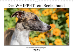 Der Whippet – ein Seelenhund (Wandkalender 2023 DIN A3 quer) von Hofmann,  Petra