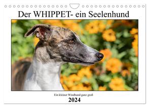 Der Whippet – ein Seelenhund (Wandkalender 2024 DIN A4 quer), CALVENDO Monatskalender von Hofmann,  Petra