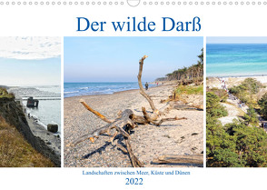 Der wilde Darß – Landschaften zwischen Meer, Küste und Dünen (Wandkalender 2022 DIN A3 quer) von Frost,  Anja