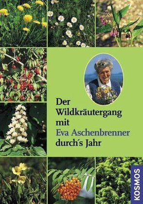 Der Wildkräutergang mit Eva Aschenbrenner durchs Jahr von Aschenbrenner,  Eva