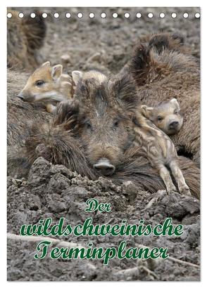 Der wildschweinische Terminplaner (Tischkalender 2024 DIN A5 hoch), CALVENDO Monatskalender von Lindert-Rottke,  Antje