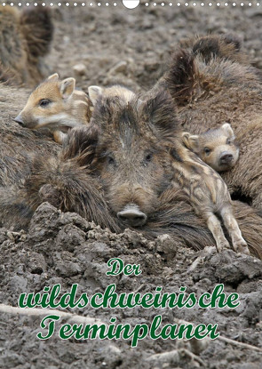 Der wildschweinische Terminplaner (Wandkalender 2023 DIN A3 hoch) von Lindert-Rottke,  Antje