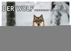 DER WOLF – faszinierend und gefährlich (Wandkalender 2024 DIN A3 quer), CALVENDO Monatskalender von Haidl - www.chphotography.de,  Christian