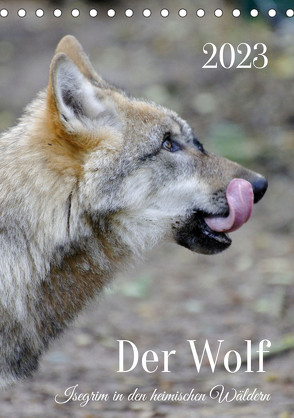 Der Wolf – Isegrim in den heimischen Wäldern – Kalender 2023 (Tischkalender immerwährend DIN A5 hoch) von Rohde,  Angela