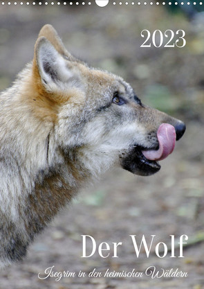 Der Wolf – Isegrim in den heimischen Wäldern – Kalender 2023 (Wandkalender immerwährend DIN A3 hoch) von Rohde,  Angela