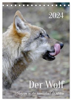 Der Wolf – Isegrim in den heimischen Wäldern – Kalender 2024 (Tischkalender 2024 DIN A5 hoch), CALVENDO Monatskalender von Rohde,  Angela