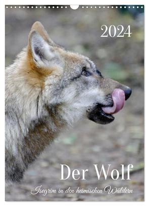 Der Wolf – Isegrim in den heimischen Wäldern – Kalender 2024 (Wandkalender 2024 DIN A3 hoch), CALVENDO Monatskalender von Rohde,  Angela