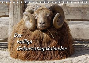 Der wollige Geburtstagskalender (Tischkalender immerwährend DIN A5 quer) von Berg,  Martina