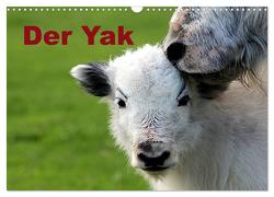 Der Yak (Wandkalender 2024 DIN A3 quer), CALVENDO Monatskalender von Witkowski,  Bernd