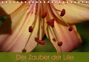 Der Zauber der Lilie (Tischkalender 2019 DIN A5 quer) von Vogl,  Beate