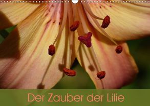 Der Zauber der Lilie (Wandkalender 2019 DIN A3 quer) von Vogl,  Beate