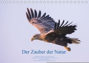 Der Zauber der Natur (Tischkalender 2018 DIN A5 quer) von Holzhausen,  Andreas