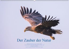 Der Zauber der Natur (Wandkalender 2018 DIN A2 quer) von Holzhausen,  Andreas