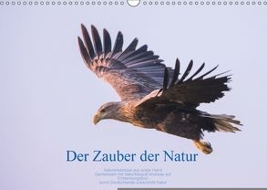 Der Zauber der Natur (Wandkalender 2018 DIN A3 quer) von Holzhausen,  Andreas