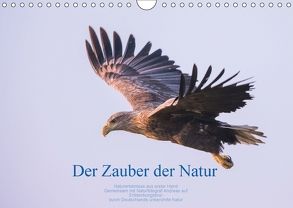 Der Zauber der Natur (Wandkalender 2018 DIN A4 quer) von Holzhausen,  Andreas