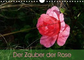 Der Zauber der Rose (Wandkalender 2019 DIN A4 quer) von Vogl,  Beate