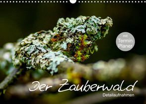 Der Zauberwald – Detailaufnahmen mit Planer (Wandkalender 2023 DIN A3 quer) von Katharina Siebel - Sensiebelfotografie,  Saskia