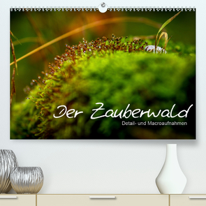 Der Zauberwald – Detailaufnahmen (Premium, hochwertiger DIN A2 Wandkalender 2021, Kunstdruck in Hochglanz) von Katharina Siebel - Sensiebelfotografie,  Saskia