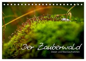 Der Zauberwald – Detailaufnahmen (Tischkalender 2024 DIN A5 quer), CALVENDO Monatskalender von Katharina Siebel - Sensiebelfotografie,  Saskia