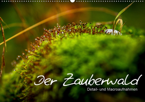 Der Zauberwald – Detailaufnahmen (Wandkalender 2021 DIN A2 quer) von Katharina Siebel - Sensiebelfotografie,  Saskia