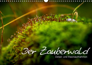 Der Zauberwald – Detailaufnahmen (Wandkalender 2021 DIN A3 quer) von Katharina Siebel - Sensiebelfotografie,  Saskia