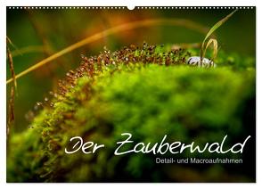 Der Zauberwald – Detailaufnahmen (Wandkalender 2024 DIN A2 quer), CALVENDO Monatskalender von Katharina Siebel - Sensiebelfotografie,  Saskia