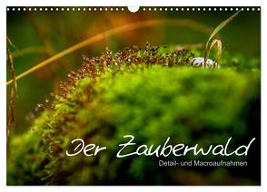 Der Zauberwald – Detailaufnahmen (Wandkalender 2024 DIN A3 quer), CALVENDO Monatskalender von Katharina Siebel - Sensiebelfotografie,  Saskia