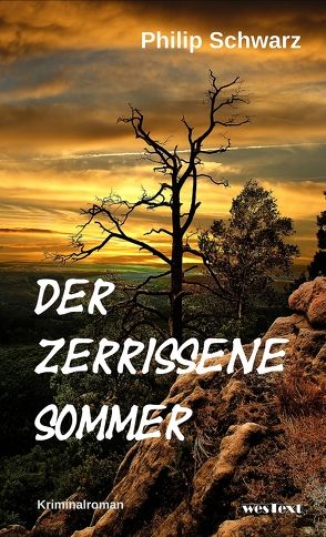 Der zerrissene Sommer von Schwarz,  Philip