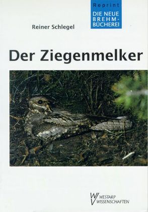 Der Ziegenmelker von Schlegel,  Reiner