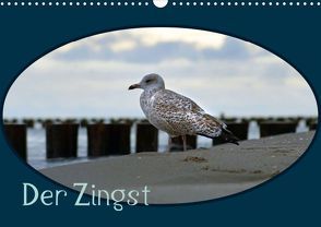 Der Zingst (Posterbuch DIN A4 quer) von Flori0,  k.A.