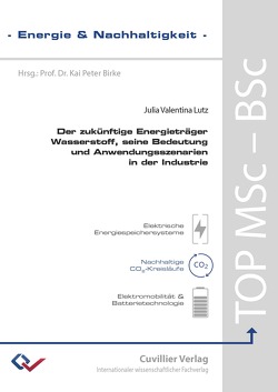 Der zukünftige Energieträger Wasserstoff, seine Bedeutung und Anwendungsszenarien in der Industrie von Lutz,  Julia Valentina