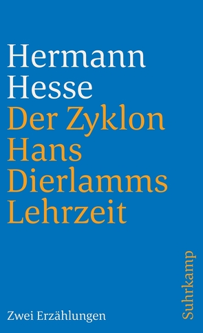 Der Zyklon und Hans Dierlamms Lehrzeit von Hesse,  Hermann, Michels,  Volker