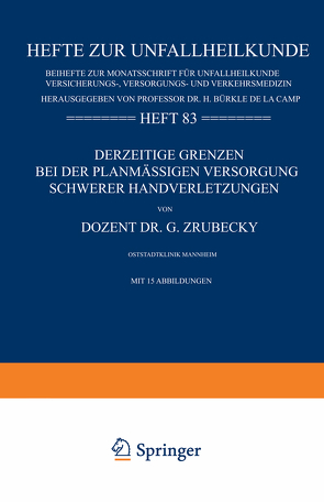 Derzeitige Grenzen bei der Planmässigen Versorgung Schwerer Handverletzungen von Zrubecky,  Gottlieb